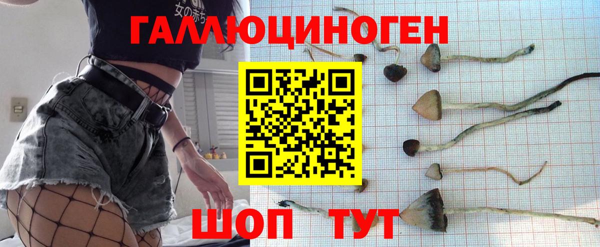 Псилоцибиновые грибы Cubensis  Галлюциногенные грибы мицелий  Вход с VPN  Кропоткин 